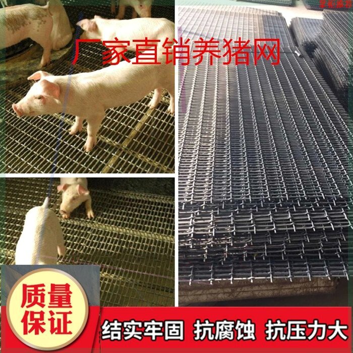 极速网保育育肥两用羊养殖网钢筋网猪用猪床漏粪网板母猪产床养猪