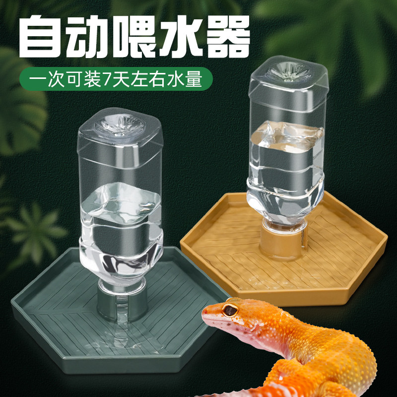 爬宠六边形自动喂水器蜥蜴守宫陆龟半水龟同时饮水器箱造景用品