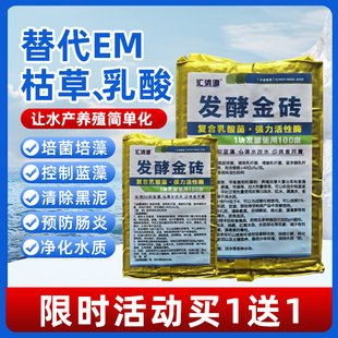 乳酸菌种原粉发酵剂em菌水产养殖专用调水净水浓缩高活菌砖益生菌