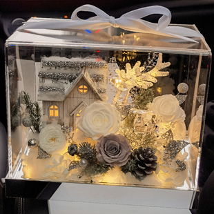 情人节新年礼物送女友永生花玫瑰玩偶圣诞树夜灯雪屋氛围生日摆件