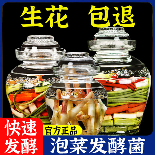 泡菜发酵菌正品官方旗舰店四川泡菜专用乳酸菌不生花泡菜发酵粉