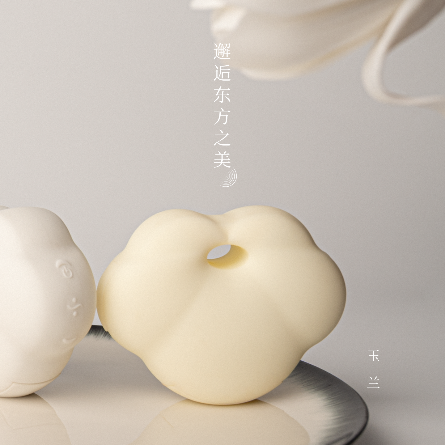 月曲玉兰┆邂逅东方之美
