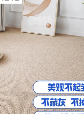 华德仿剑麻防猫抓地毯客厅卧室自由裁剪入户地毯摄影棚拍照地垫