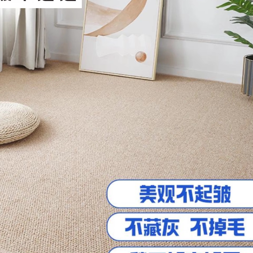 耐磨宠物地垫猫抓垫防滑隔音