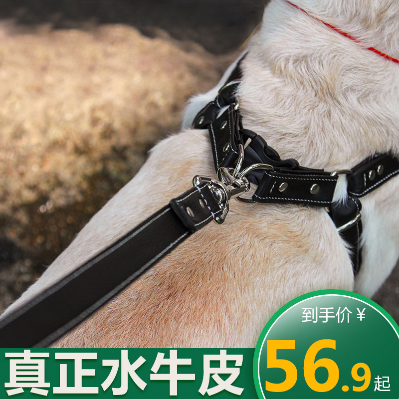 速发毛型犬狗绳金大狗用品胸背带大狗牵引遛心绳狗链子背狗式