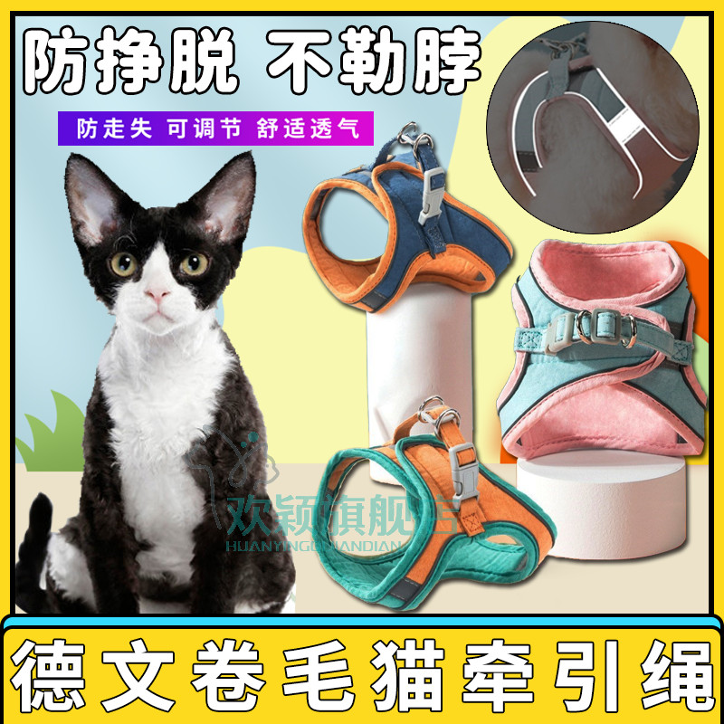 速发德文卷毛猫可爱光咪式背带背心胸遛猫绳防挣脱反猫外出