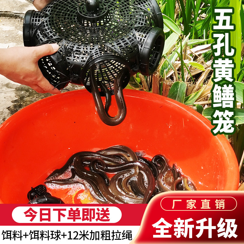 速发黄鳝笼倒须口捕鱼笼鳝鱼泥鳅笼笼笼装鱼抓虾鱼鱼篓捉鱼神器地