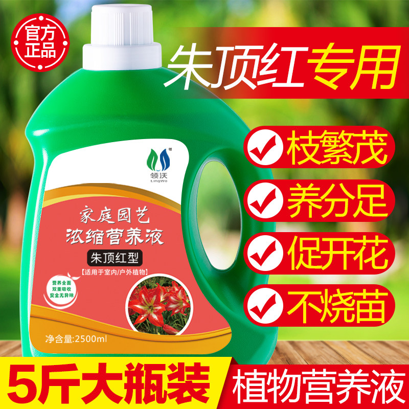 速发朱植红专用肥营养液物物风信子郁金香种球植顶通用家用盆栽肥