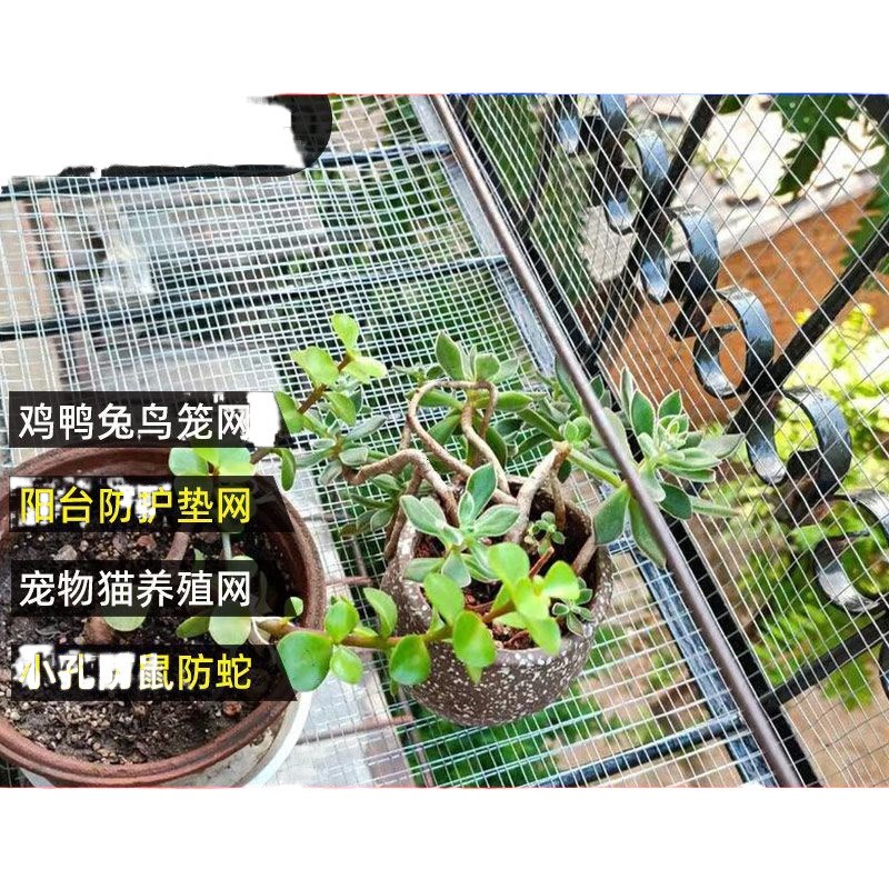 速发钢丝网防锈铁丝网围栏网养殖网镀锌网格台防护网防鼠小孔铁网