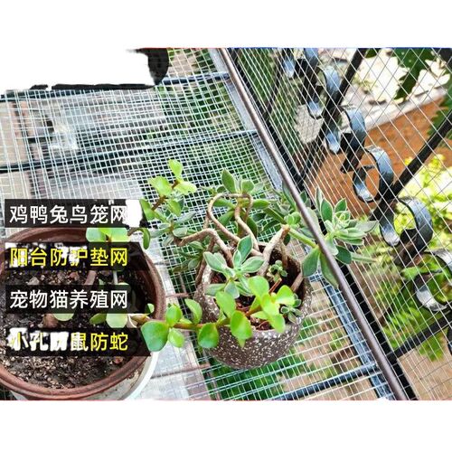 速发钢丝网防锈铁丝网围栏网养殖网镀锌网格台防护网防鼠小孔铁网