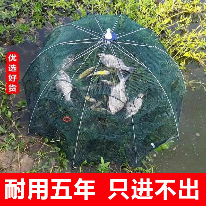 速发虾笼折叠伞笼捕虾蟹捕鱼笼黄鳝龙虾网螃扑笼网抓网捉网兜