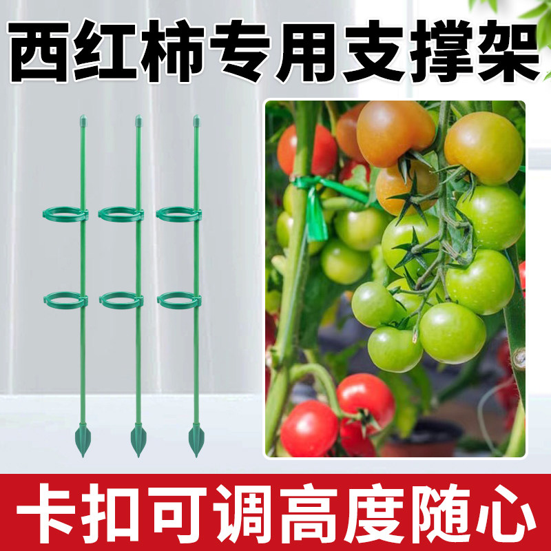 速发西红柿番茄支用支架杆园艺花架爬藤专撑杆放倒伏支撑防倒固定