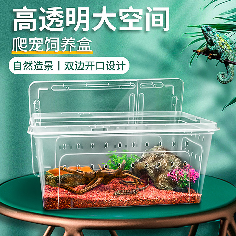 速发爬宠饲养蜴爬蛛箱蜘宠角蛙守宫蜥盒鼠用品蛇昆虫乌龟缸人渣盒