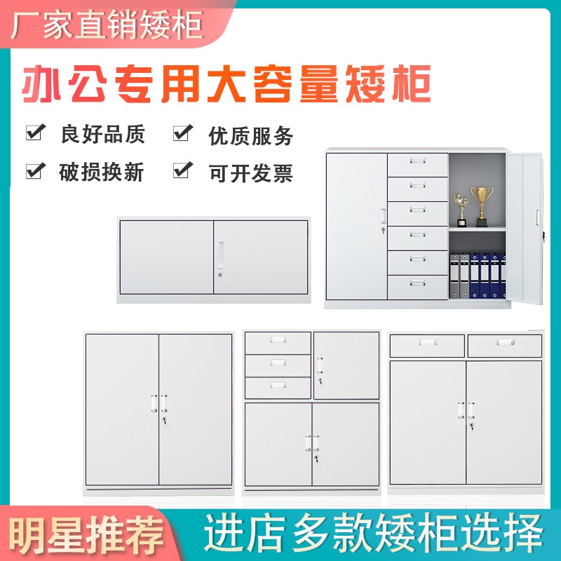 速发福建省福州市办公文件储矮柜拆装带锁多门柜资料档案柜更衣柜