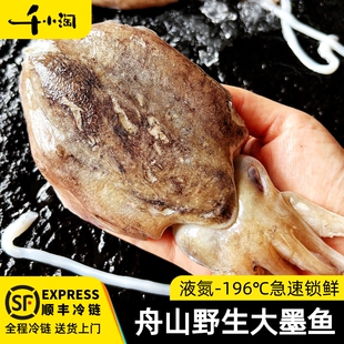 舟山大墨鱼新鲜鲜活冷冻墨鱼仔超大野生海鲜水产乌贼目鱼章鱼鱿鱼