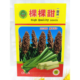 东北蔬菜种子农家甜杆种子小甘蔗种子汁多甘甜非高粱10克包邮