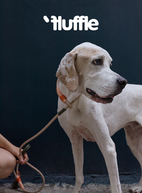 Fluffle 意大利小牛皮流苏P绳马鞍缝线宠物狗狗牵引绳Slip Leash