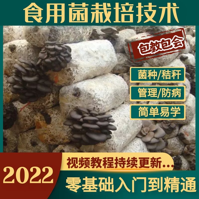 食用菌种植栽培技术视频教程大棚菌种子香菇草菇金针菇木耳银平菇