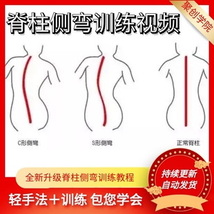 脊柱侧弯的训练视频教程施罗特施罗斯脊柱侧弯训练合集三维