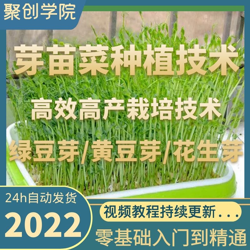 芽苗菜栽培技术视频教程无土大绿豆花生芽香椿苗种植大棚生产全套