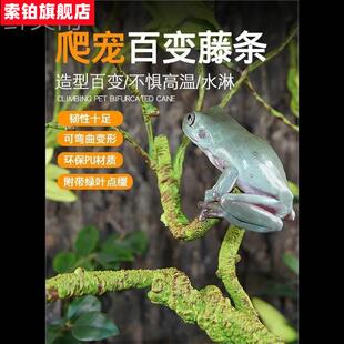 爬宠爬藤攀爬树蛙姥爷蛙睫角守宫蛇寄居蟹仿真绿树藤饲养箱缸造景