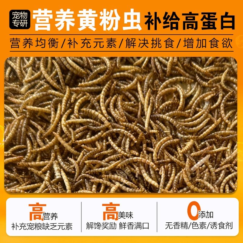 面包虫干黄粉虫大麦虫黑水牤蟋蟀干鸟食饲料高蛋白仓鼠龟粮鱼粮斤,宠物/宠物食品及用品,鸟食,淘宝优惠券,粉丝福利购,淘宝优惠卷