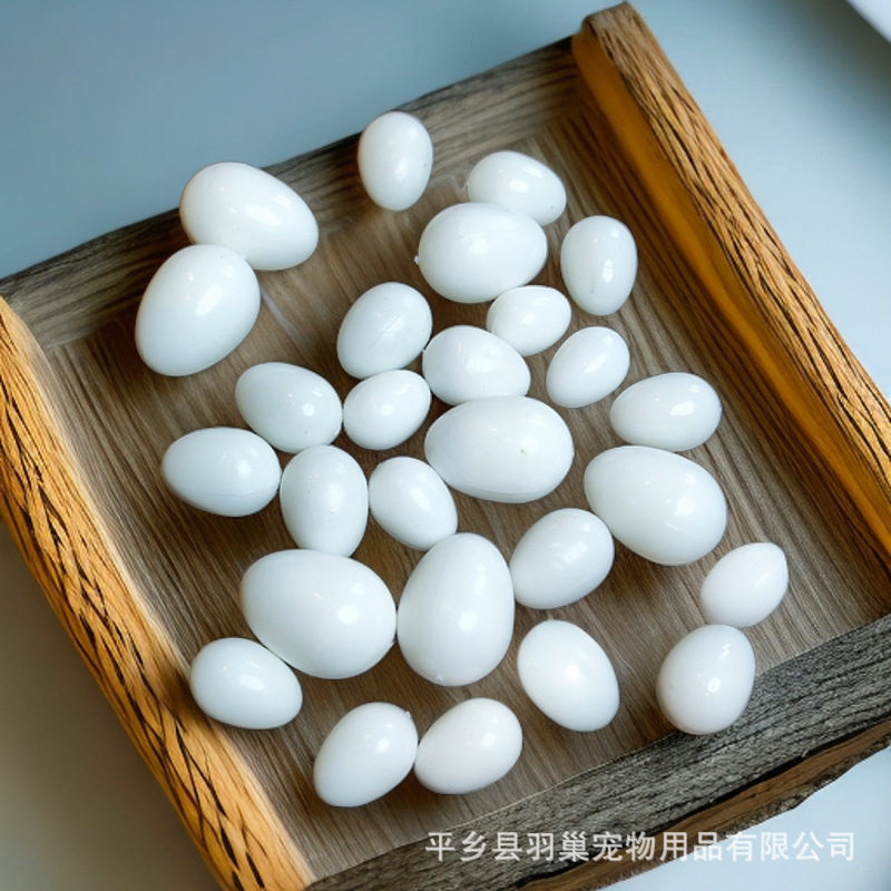 鹦鹉假蛋鸟类鹦鹉仿真实心蛋文鸟虎皮牡丹玄凤鸟蛋引蛋鸟具玉鸟蛋