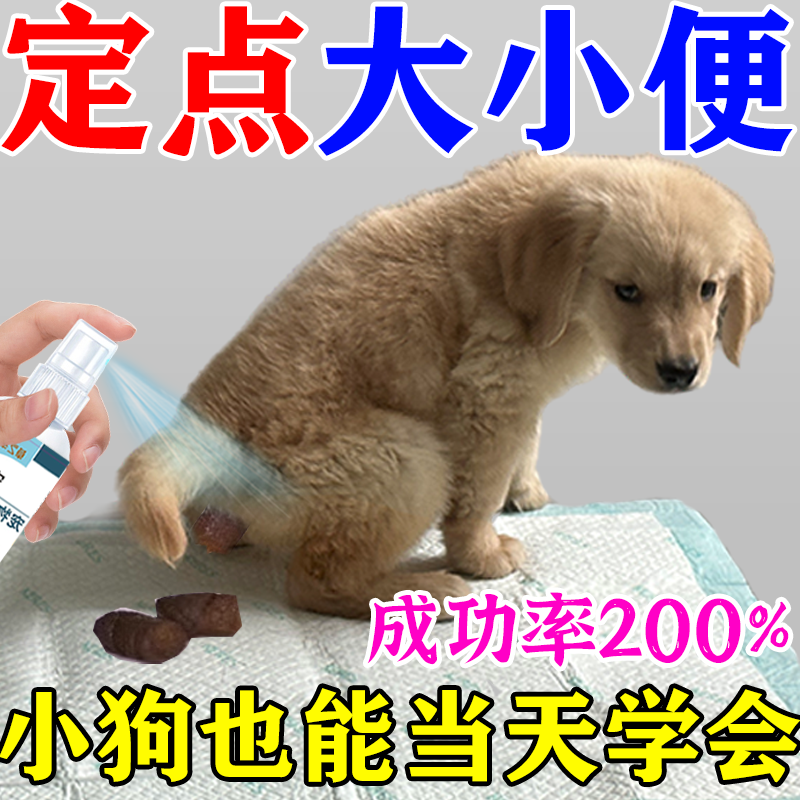 【当天学会】狗狗定点排便神器上厕所诱导剂狗大小便狗训练不乱拉