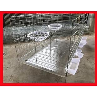 新款 鸽笼用具鸽子笼养殖笼信鸽配对笼家用阳台鸽笼鸟笼大号 包邮