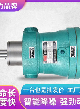 2.5MCY5MCY10MCY25MCY40MCY63MCY80MCY160MCY14-1B轴向柱塞泵