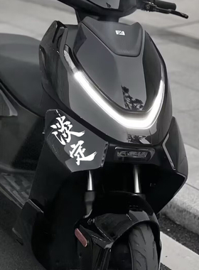 适用极核AE5i/Pro/AE4 SE+/Pro/Max淡定贴纸个性文字装饰车身贴花