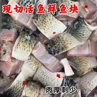 微山湖新鲜现切草鱼块鲤鱼鱼块鱼尾鱼头瓦块鱼红烧鱼块餐饮半成品