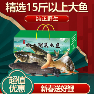 微山湖四鼻大鲤鱼新鲜花鲢胖头鱼原生态草鱼野捕大青鱼精品礼盒装