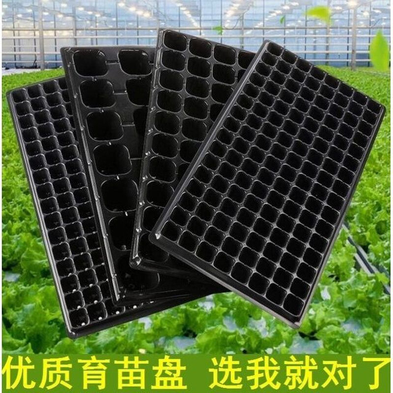 穴盘V育苗盆厂家直销穴盘蔬菜育苗盒网格盘辣椒瓜果穴盘盒