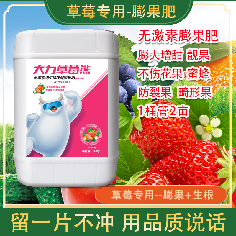 正品大力草莓熊膨果细胞分裂防裂膨大提糖增甜着色促红有机叶面肥
