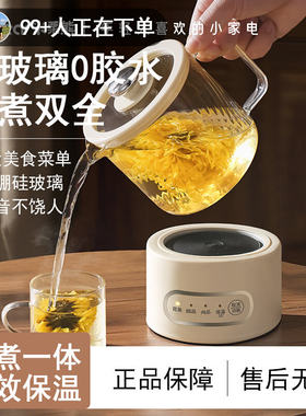 德国进口办公室小型养生家用迷你