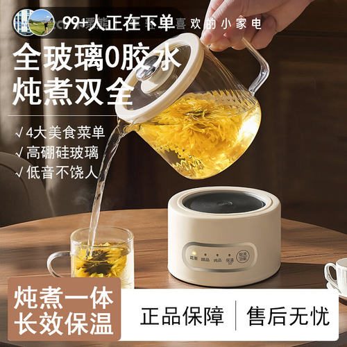 德国进口办公室小型养生家用迷你