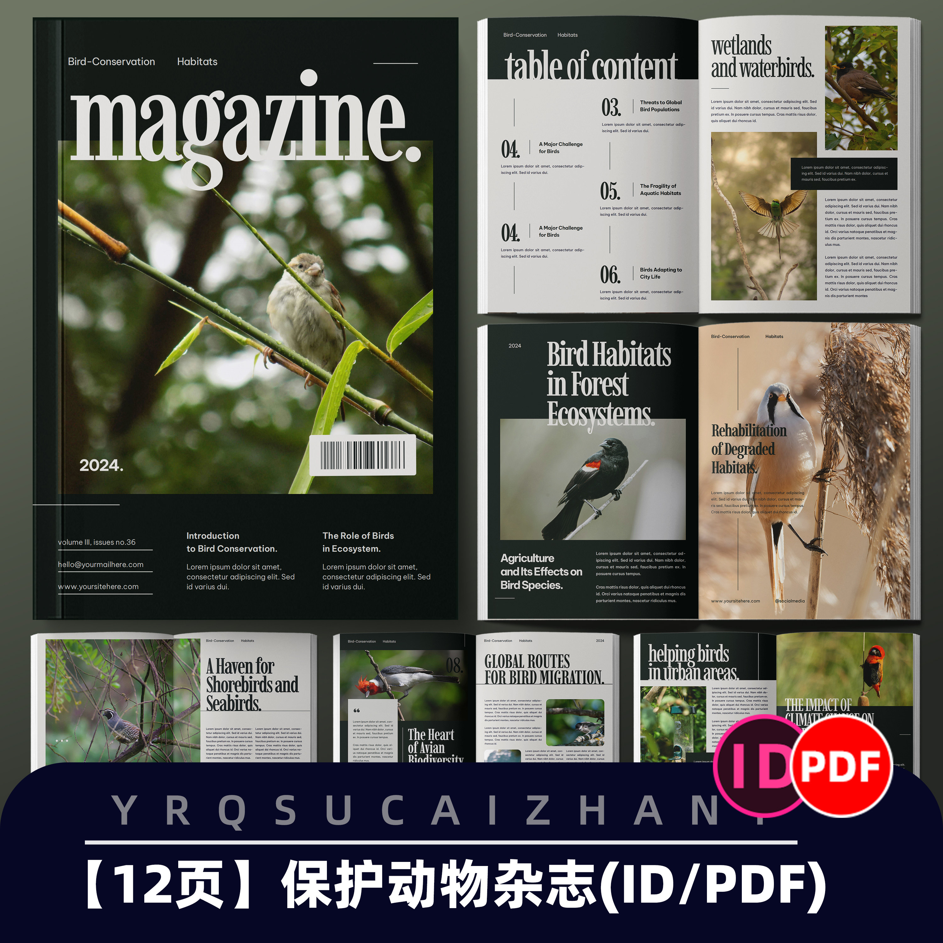 N267绿色生态保护鸟类栖息地研究图文排版杂志画册IDPDF设计模板