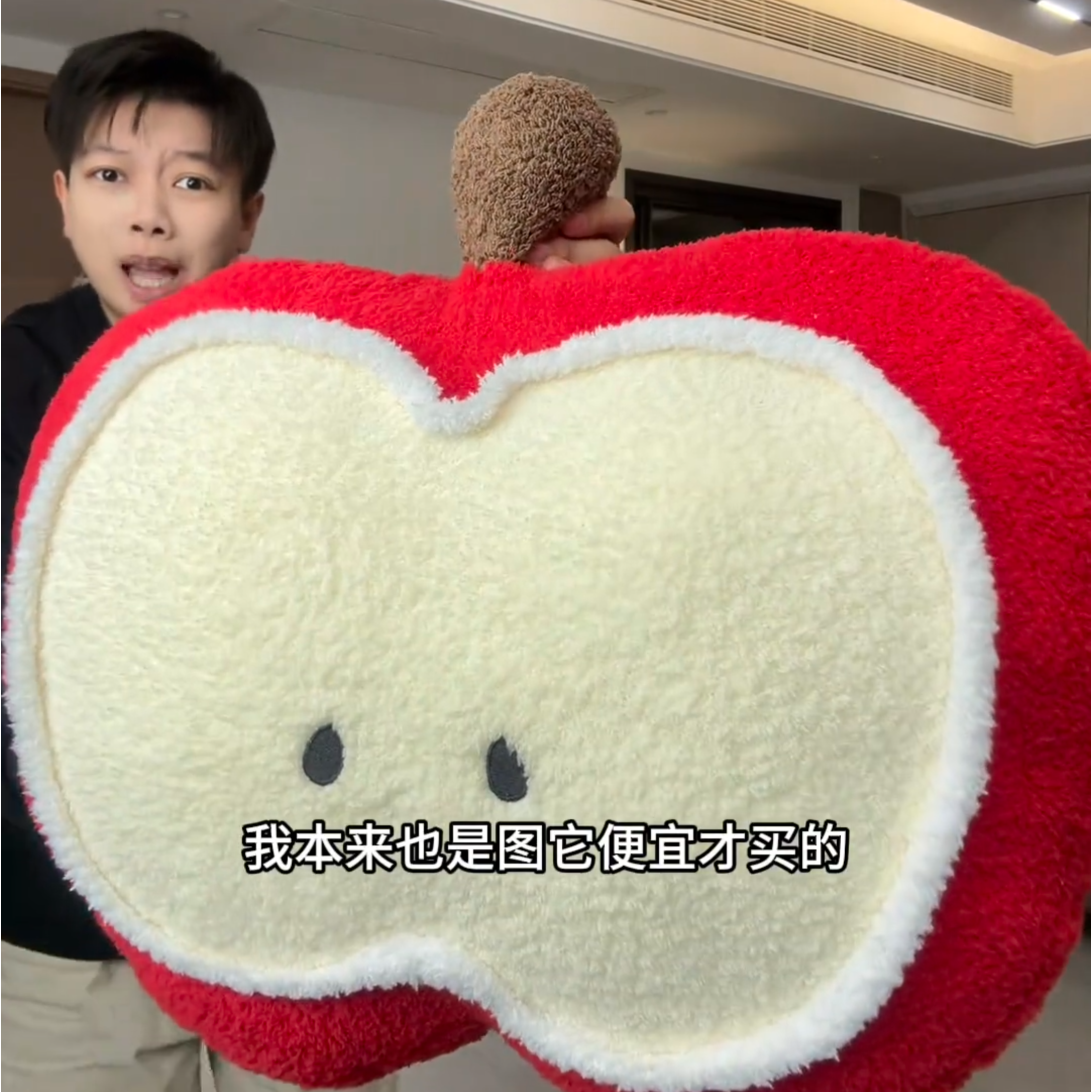 沙发抱枕可爱苹果女生睡觉飘窗榻榻米靠垫宿舍办公室护腰座椅靠枕,居家布艺,靠垫/抱枕,淘宝优惠券,粉丝福利购,淘宝优惠卷