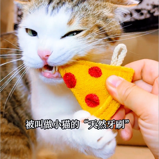 丝瓜络猫玩具丝瓜络宠物玩具猫薄荷逗猫棒天然猫咪狗狗耐咬磨牙棒