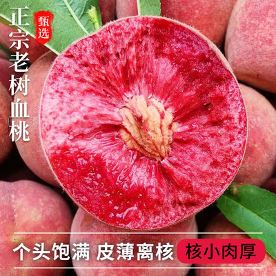 湖北血桃当季现摘新鲜水果朱砂红紫肉血桃老树水蜜桃香甜多汁包邮