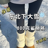 瑜伽保暖打底加绒裤 东北800g特厚鲨鱼裤 女外穿秋冬加厚2025新款