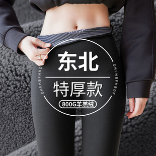 东北特厚羊羔绒鲨鱼裤女外加绒加厚秋冬季东北防寒打底裤保暖棉裤