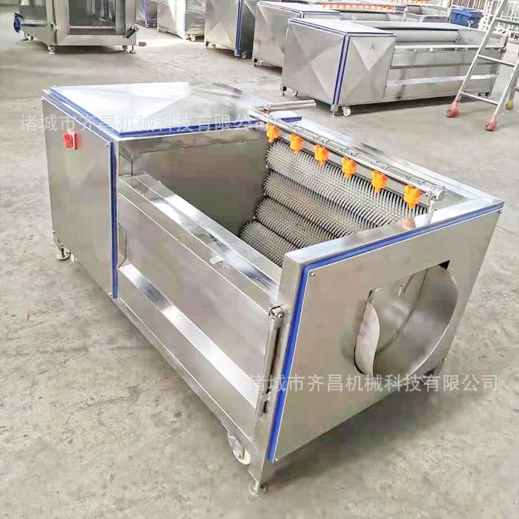 根茎药材清洗机毛辊红薯清洗机天麻药材清洗机土豆红薯毛辊去皮机