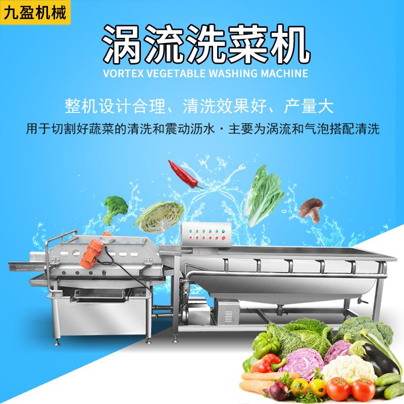 供应涡流洗菜机JY-4200B商用涡流震动蔬菜清洗机 排渣消毒洗菜机