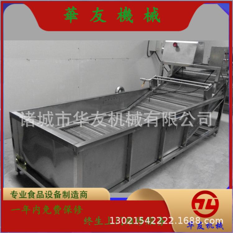 杏鲍菇清洗机 蘑菇清洗机漂烫设备 大型芸豆清洗漂烫流水线