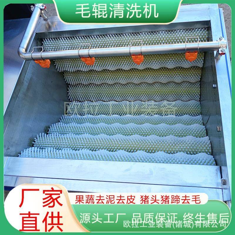 毛刷生姜去皮清洗机 猪蹄毛辊清洗设备 全自动葛根清洗机