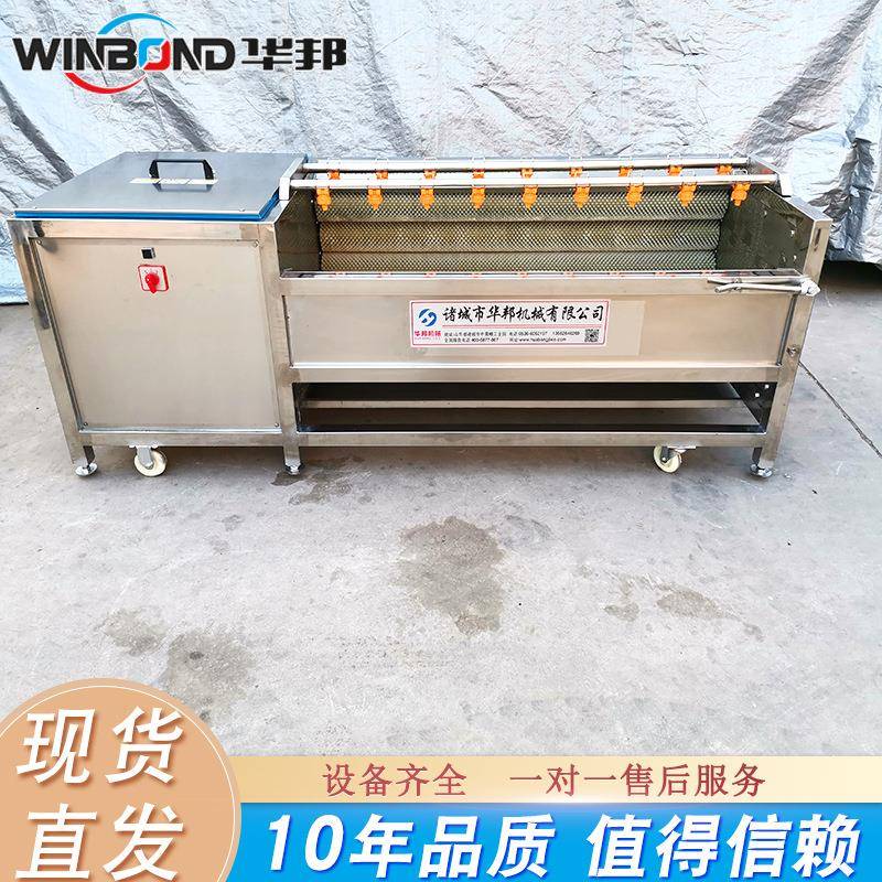 猪蹄加工去毛清洗机 不锈钢毛辊清洗机 莲藕山药毛辊去皮清洗机