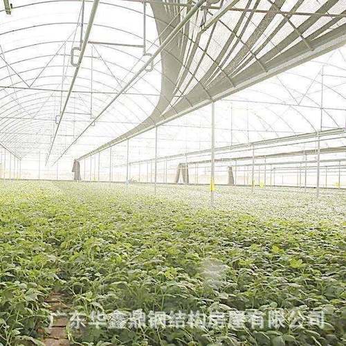 简易抗风外遮阳连栋大棚 镀锌温室连体大棚 农用蔬菜连栋薄膜温室