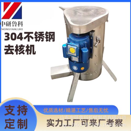 大型青梅去核机 多功能李子荔枝黑枣去核机器 核果榨汁前用去核机